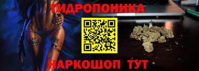 индика Апшеронск