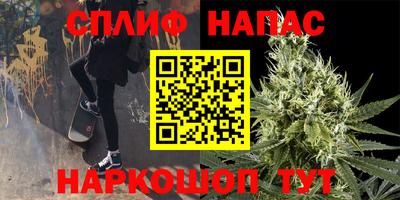 индика Апшеронск