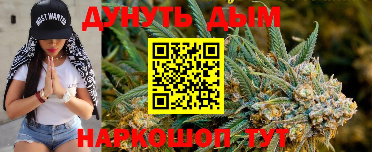 Бошки марихуана план  Вход с VPN  Марихуана гибрид  Белово  Каннабис план 